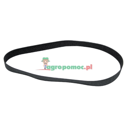  Ribbed belt | F06010158